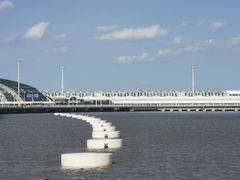 -上海吴淞炮台湾国家湿地公园