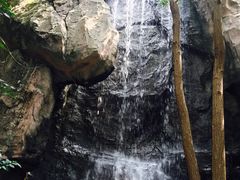 -天目湖山水园