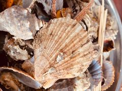 -宾朋海鲜美食特色餐厅·纯手工鲅鱼水饺(兴海路店)