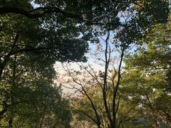 -杭州半山国家森林公园