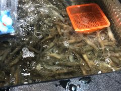 -盒马鲜生(金桥国际广场店)