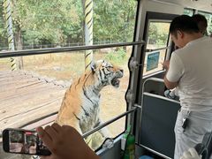 -西安秦岭野生动物园