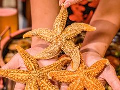 -霸王虾·麻辣小龙虾(清水河公园店)