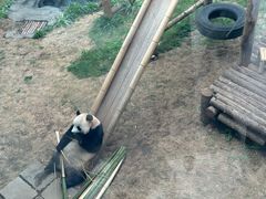 -大连森林动物园