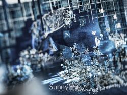-Sunny喜铺婚礼策划(东部店)