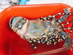 -J Daeng Seafood