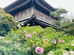 -龙华寺