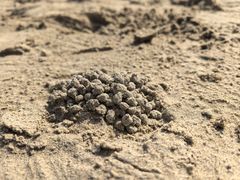 -秦皇岛阿尔卡迪亚滨海度假酒店