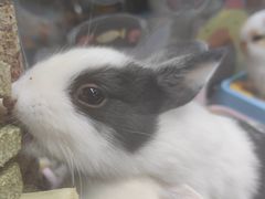 -三旗百汇商品城