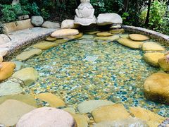 -天目湖涵田半山温泉