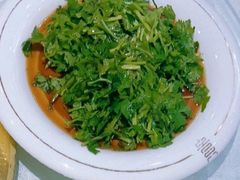 -丁老爷子苏香圆