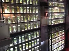 -广东中医药博物馆