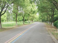 -南湖湿地公园