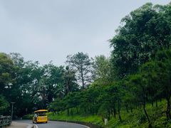 -白云山风景名胜区