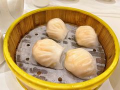 圣丰虾饺皇-圣丰城酒家·宴会(宝安大仟里店)
