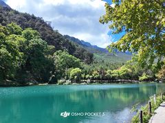 -玉湖村