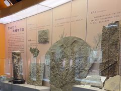 -河南自然博物馆