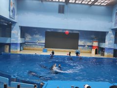 -锦艺城海洋馆