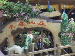 -西双版纳原始森林公园