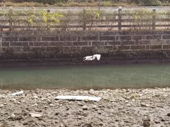 -府河摄影公园