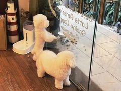 -默迹咖啡馆