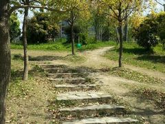 android_upload_pic-新江湾城公园
