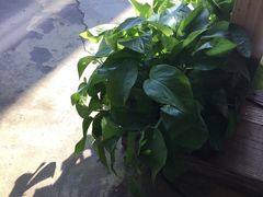 -maan coffee漫咖啡(通州店)