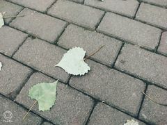 -真味烧烤(解放碑店)