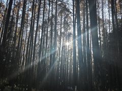 -山王坪喀斯特国家生态公园