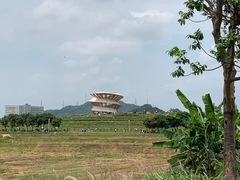 -光明小镇欢乐田园