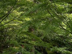 -三千院