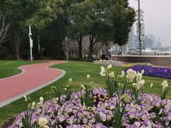 -北外滩滨江绿地