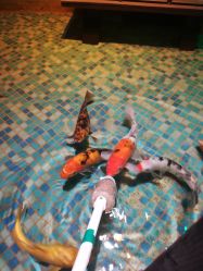 点击看大图 -酷嗒动物文化乐园(cutezoo西溪乐天城店)