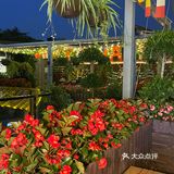 夏日喝酒撸串好去处，二层露台美哭了