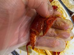 -杨氏青龙虾·羊蝎子(珠江路店)
