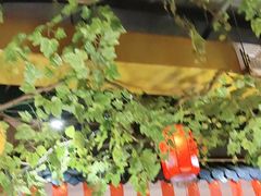 -成老灶火锅鸡(平山店)