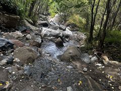 -灵山