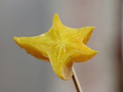 杨桃-老炳·七丛松甘草水果