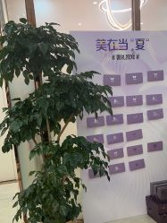 -紫洁俪方（北京）医疗美容