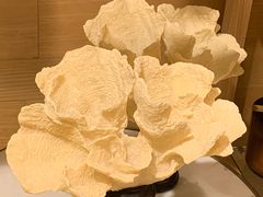 -ZARAHOME(虹桥南丰城店)