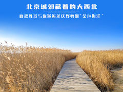 -野鸭湖国家湿地公园