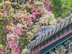 -深圳国际园林花卉博览园