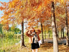 -梁鸿国家湿地公园