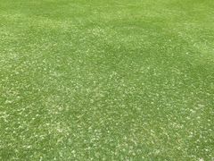 -广州冠景高尔夫练习场