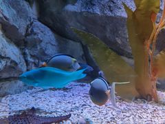 -欢乐海岸海洋奇梦馆