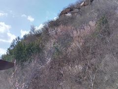 -北京鹫峰国家森林公园