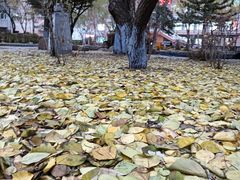 -黑龙江大学