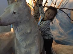 -芜湖新华联大白鲸海洋公园