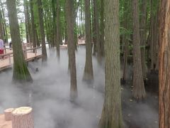 -东湖落雁景区