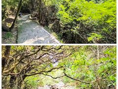 -银瓶山森林公园(谢岗镇)